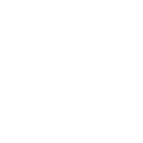 Leadership icon